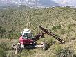 Àmbit d’actuació de la reforestació en zona sense regeneració natural. Febrer 2009