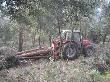 Desembosc de fusta de pi amb tractor i cabrestany. Març 2011