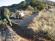 Construcció de trenca d’aigua en camins del parc per conduir l’aigua de pluja. Març 2014