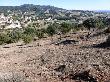 Aspecte general de la zona adevesada, amb discontinuïtat del combustible vertical i horitzontal, potenciant els espais oberts i la fauna i flora associada. Març 2014