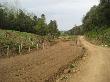 Sembra de pastures i plantació d’espècies autòctones a les ribes de la Riera. Març 2013