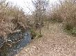 Obertura de camí ramader vora el riu Foix per permetre el pas d’un ramat d’ovelles. Febrer 2014