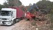 Procés de trituració de la fusta per a destinar a estella (combustible forestal). Març 2017
