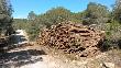 Pila de fusta de pi procedent de l’aclarida a peu de camí. Març2017