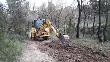 Treballs de conversió de camins de trànsit a camins de peu als voltants de la roureda. Abril 2019