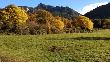 Mosaic agroforestal de la zona a la tardor. Novembre 2019