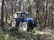 Desembosc dels arbres tallats amb tractor. Gener 2006