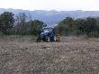 Treballs de recuperació de conreus amb tractor agrícola (estassada de la vegetació existent abans de llaurar i sembrar). Febrer 2008