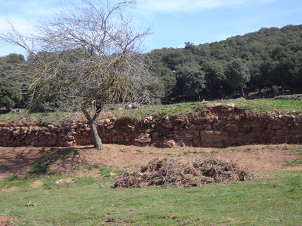 Recuperació de murs de pedra seca. Març 2006