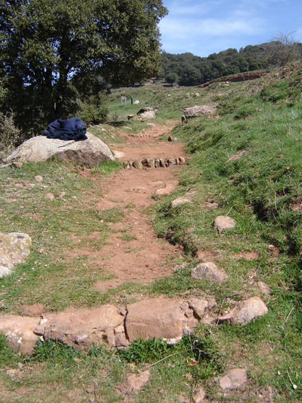 Camí ramader després de la restauració. Març 2006