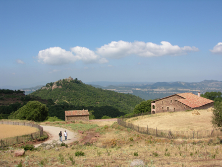 Paisatge agrícola del Pla de la Calma. Juliol 2006