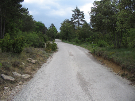 Adaptació del ferm del camí de Can Coromines. Maig 2006