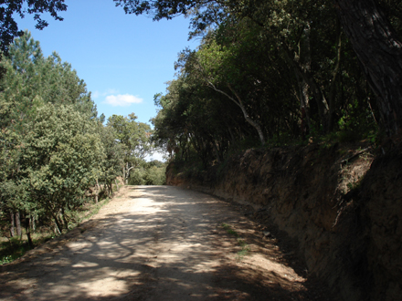 Tram de camí després dels treballs d’arranjament. Maig 2007