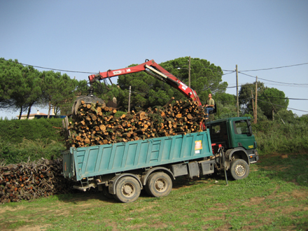 Càrrega de llenya per transport a indústria. Gener 2006