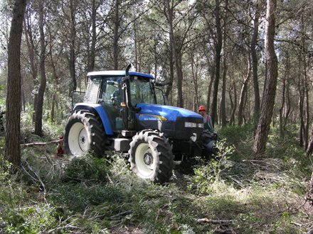 Desembosc dels arbres tallats amb tractor. Gener 2006