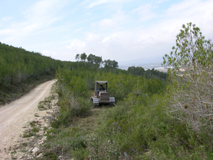 Aclarida mecanitzada amb tractor forestal de cadenes i desbrossadora. Desembre 2005