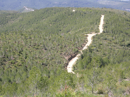 Visió general de la zona. Gener 2006