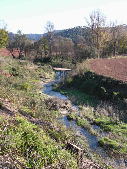 Estat de la riera de la Vall d’Horta després de l’incendi de 2003. Gener 2006