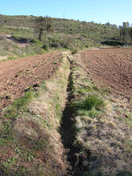 Recuperació d’antigues sèquies de rec. Gener 2006