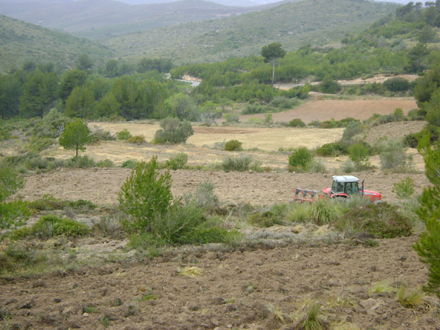 Llaurada de camps de conreu recuperats a Can Grau. Abril 2008