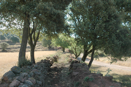 Restauració d'una antiga canalització d'aigua. Juliol  2006