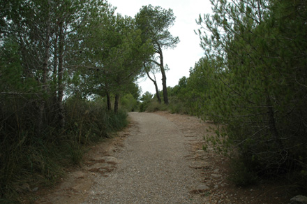 Cami de l'itinerari. Octubre 2007