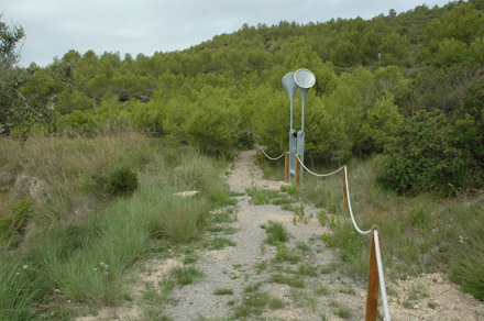 Cami de l'itinerari. Octubre 2007