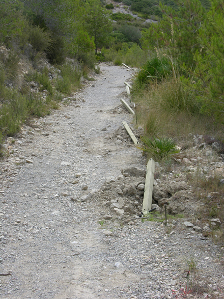 Instal·lació dels pals de suport per a la guia de corda. Juliol 2007