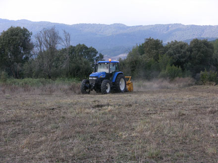 Treballs de recuperació de conreus amb tractor agrícola (estassada de la vegetació existent abans de llaurar i sembrar). Febrer 2008