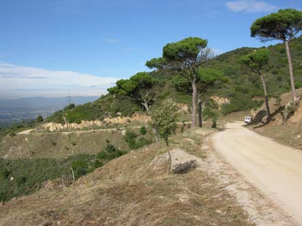 Franja de prevenció d’incendis en zones cremades en regeneració. Octubre 2006