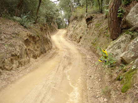 Arranjament de caminis. Març 2008