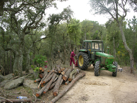 Operació de desembosc. Maig 2007