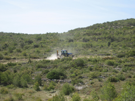 Treballs en zona de brolla amb arbrat jove. Maig 2008.