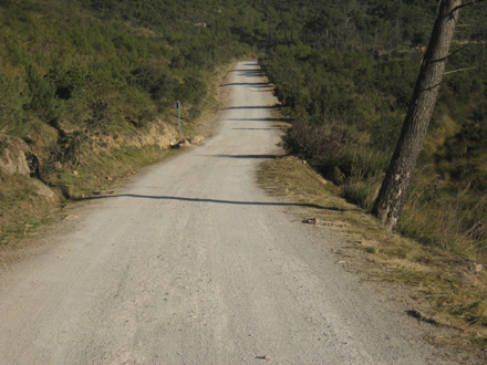 Secció de servei en camí principal del Parc. Maig 2008.